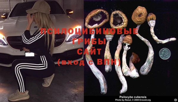 spice Алзамай