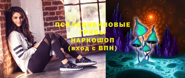 spice Алзамай